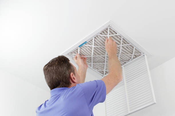 Best Home Air Vent Cleaning  in Leadville, CO